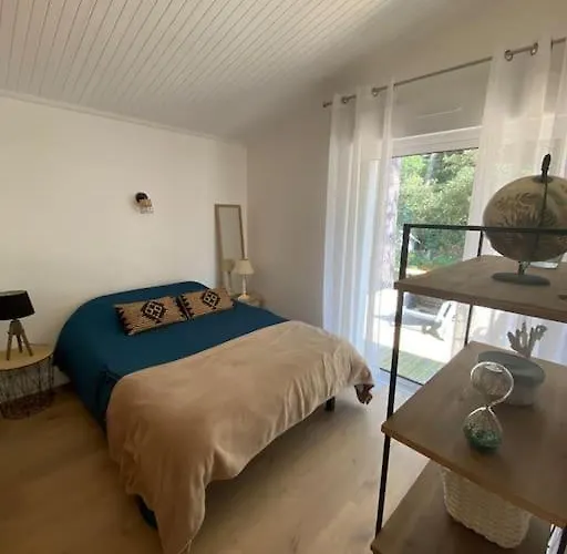 Maison Familiale Dans Les Pins A 500m De La *